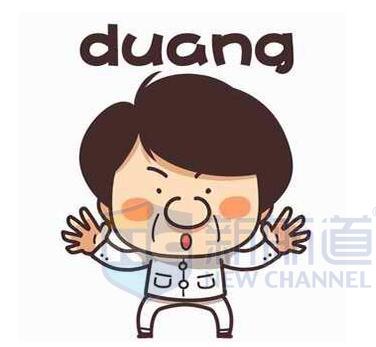 2015流行语-duang